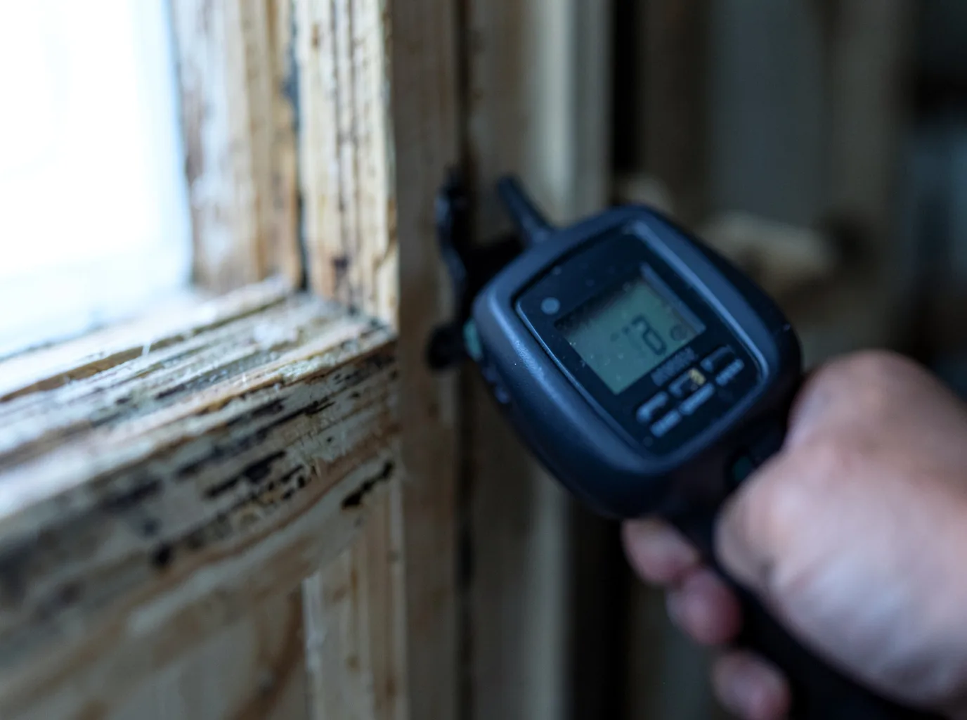Moisture Inspection And Documentation in Elkmont, AL